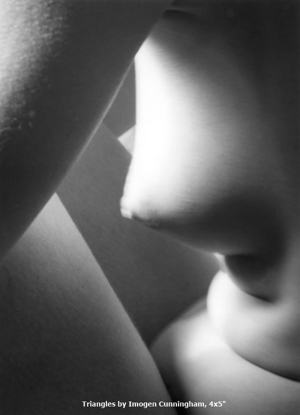 Triangles by Imogen Cunningham, 4x5