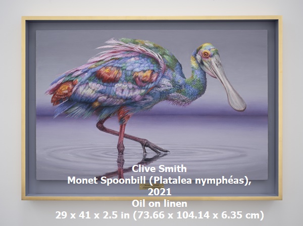 click to enlarge- double click to reduce Clive Smith
Monet Spoonbill (Platalea nymphéas), 2021
Oil on linen
29 x 41 x 2.5 in (73.66 x 104.14 x 6.35 cm)