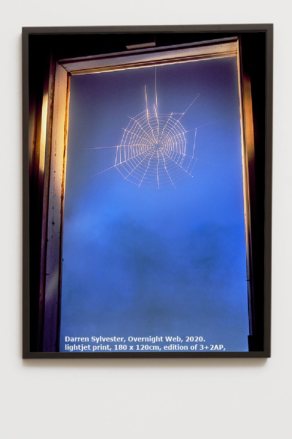 click to enlarge- double click to reduce Darren Sylvester, Overnight Web, 2020.
lightjet print, 180 x 120cm, edition of 3+2AP,