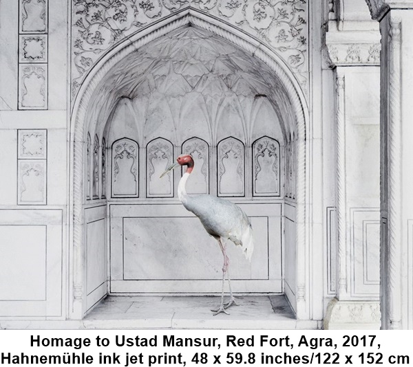 Karen Knorr, Homage to Ustad Mansur, Red Fort, Agra, 2017, Hahnemühle ink jet print, 48 x 59.8 inches/122 x 152 cm