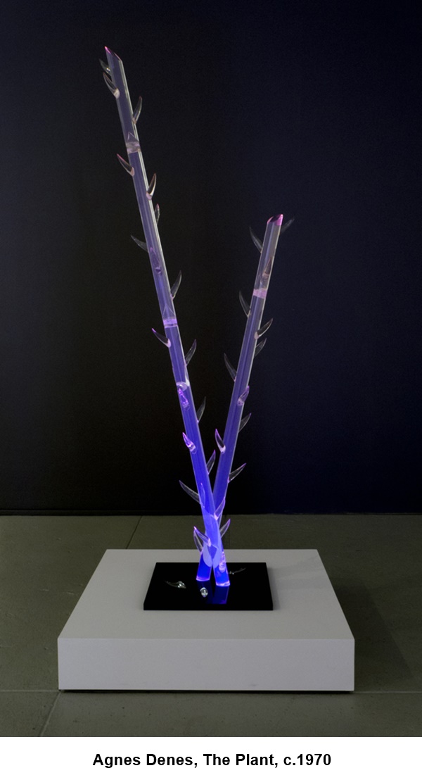 Agnes Denes, The Plant, c.1970