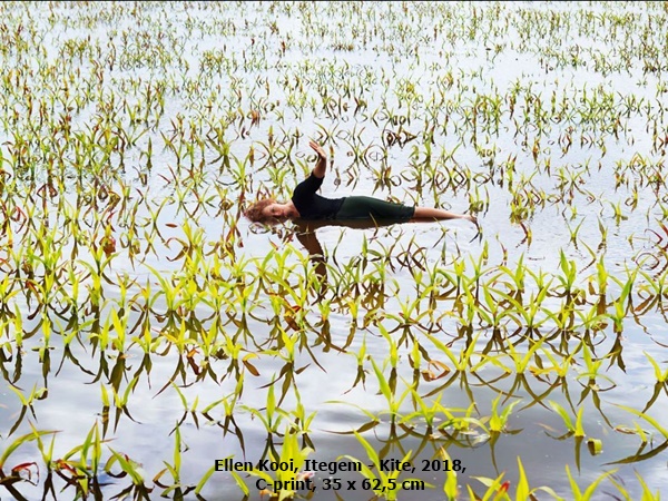 click to enlarge- double click to reduce Ellen Kooi, Itegem - Kite, 2018, C-print, 35 x 62,5 cm