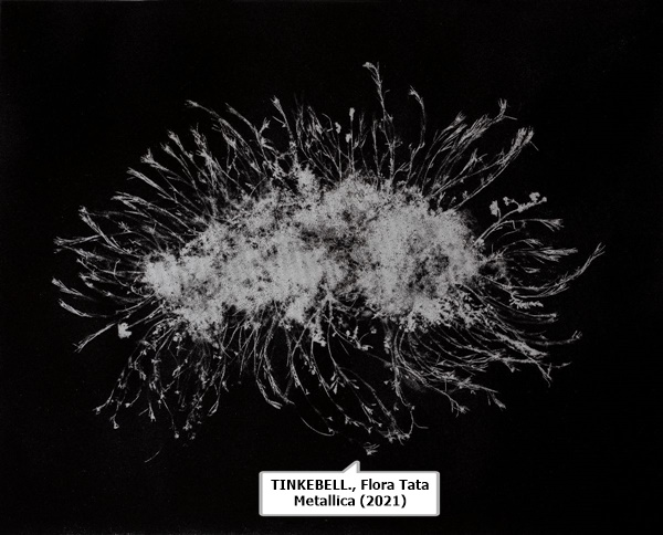TINKEBELL.
Flora Tata Metallica (2021)