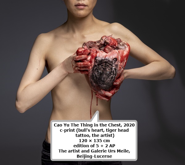 click to enlarge- double click to reduce Cao Yu The Thing in the Chest, 2020
c-print (bull's heart, tiger head tattoo, the artist)
120 × 135 cm
edition of 5 + 2 AP
The artist and Galerie Urs Meile, Beijing-Lucerne