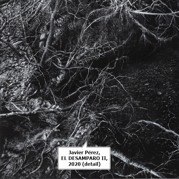 click to enlarge- double click to reduce Javier Pérez, EL DESAMPARO II, 2020 (detail)