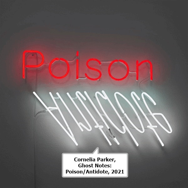 click to enlarge- double click to reduce Cornelia Parker, Ghost Notes: Poison/Antidote, 2021