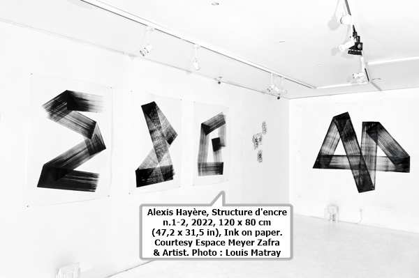 click to enlarge- double click to reduce Alexis Hayère, Structure d'encre n.1-2, 2022, 120 x 80 cm (47,2 x 31,5 in), Ink on paper. Courtesy Espace Meyer Zafra & Artist. Photo : Louis Matray