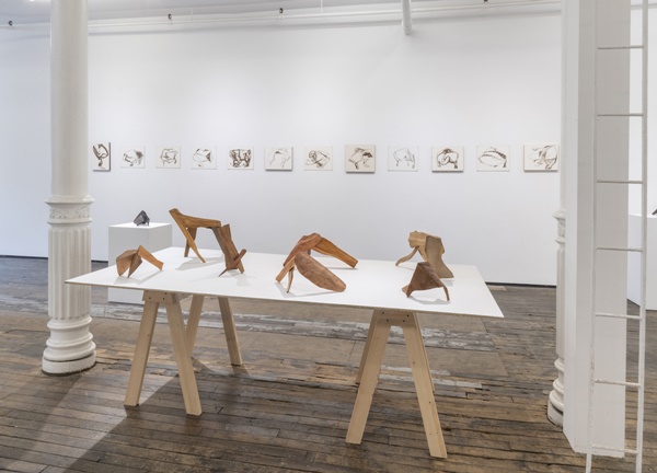 Jane Doyle, installation view